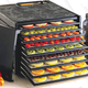 Excalibur Food Dehydrator | $130 | Woot